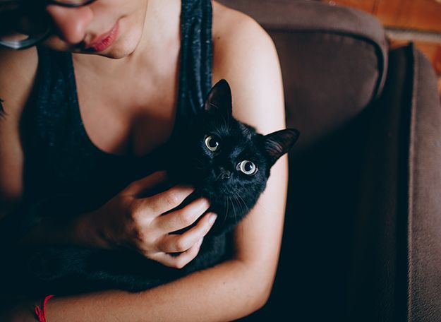 Kat Knuffelen